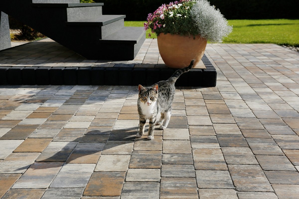 JADAR Bergamo Piatto 6cm COLORBLEND - obrazek 4