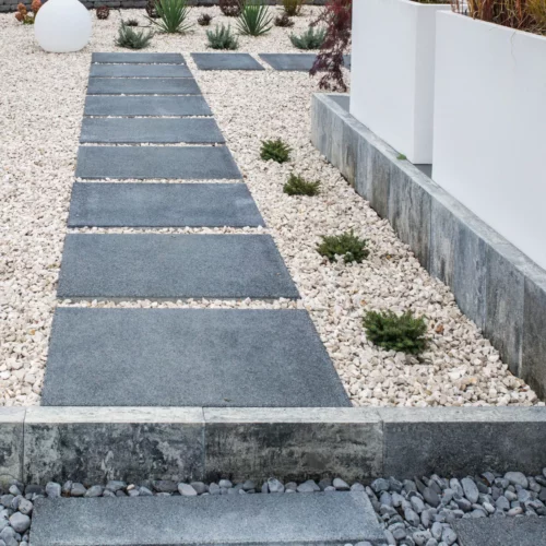 FORBET Lineage Palisada 50x25x8