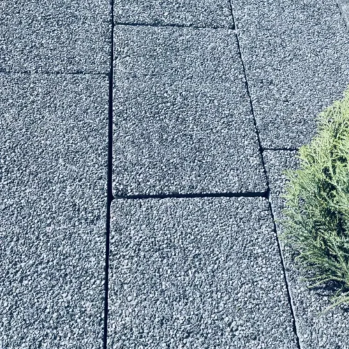 KEFAL MORENA ELITE bez fazy, Gr. 6cm Płukana